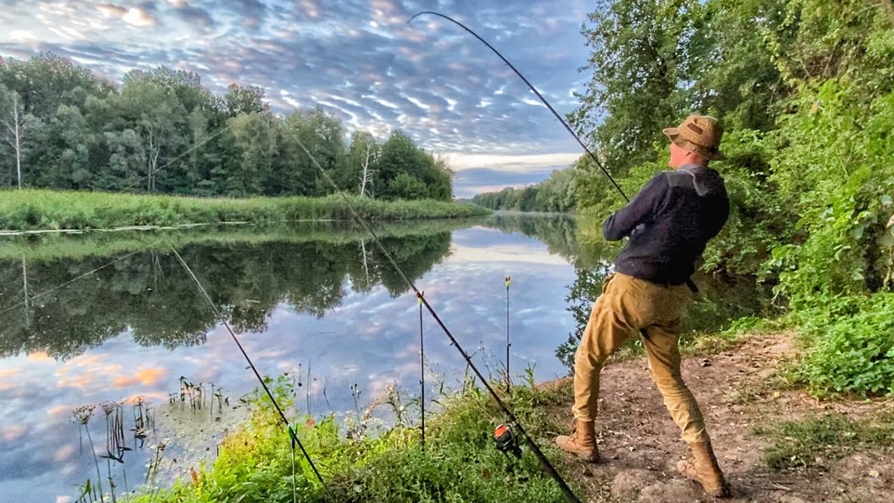 Нічна Рибалка на СОМА! Ловля СОМА на ДИКІЙ РІЧЦІ на печінку!