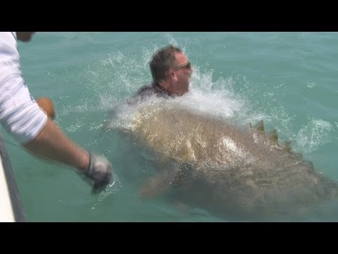 Illinois Man catches Huge Fish! Chew On This