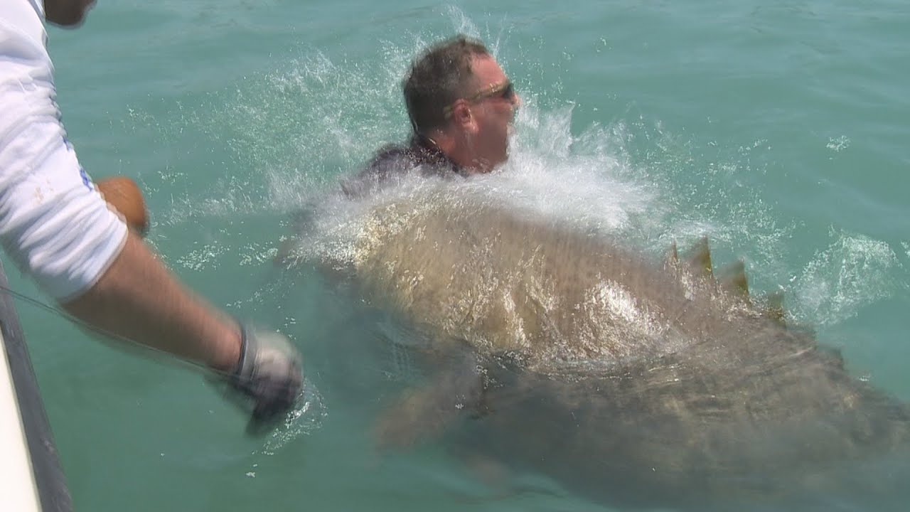 Most Viewed Fishing Video - Catching Big Fish Catches Sanibel - Fort