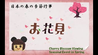 日本の春の季節行事「お花見」ーSeasonal Event in Spring of Japan ”Cherry Blossom Viewing ”