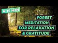 Guided meditation through the forest for focus relaxation and gratitude
