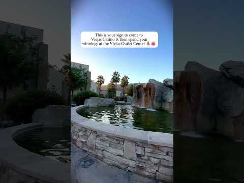 Majestic Bison | ¡Vive la emoción del Casino en vivo con Fútbol Studio!