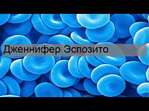 Видео: Дженнифер Эспозито Чистая стоимость