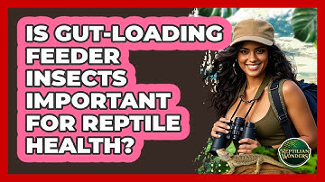 Is Gut-Loading Feeder Insects Important For Reptile Health?
