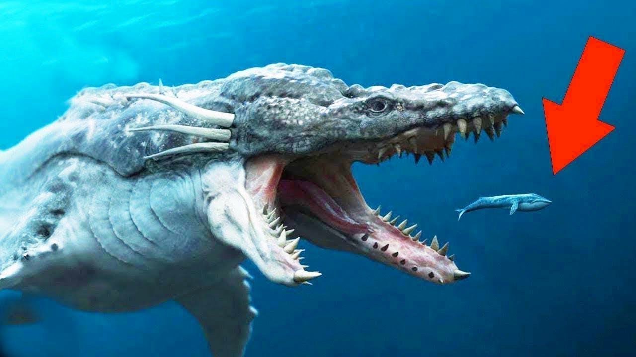 メガロドンより恐ろしい海の動物トップ7 Youtube