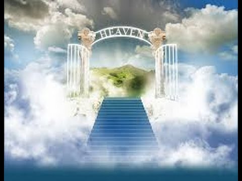 40 Days in Heaven The Testimony of Seneca Sodi