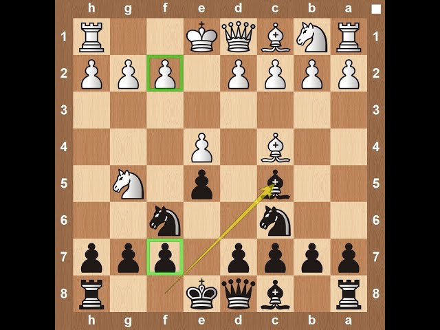 Top 7 Aggressive Chess Openings 