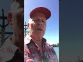 Open Air Preaching in Mandurah