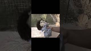 How to be rid of an Evil Doll