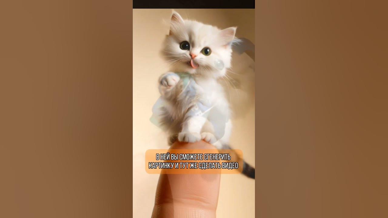Всего одна нейросеть, творит качественные картинки и видео, ссылка в ...