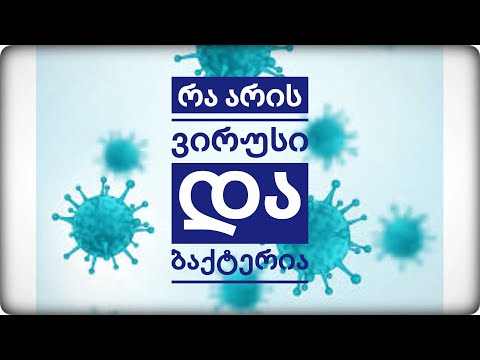 ვიდეო: მიკრობებისა და ანტიბიოტიკების შესახებ