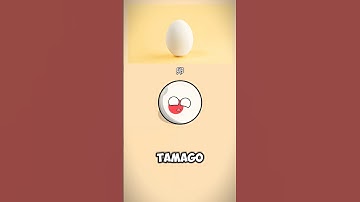 How Different Countries Say Egg #countryballs #shorts