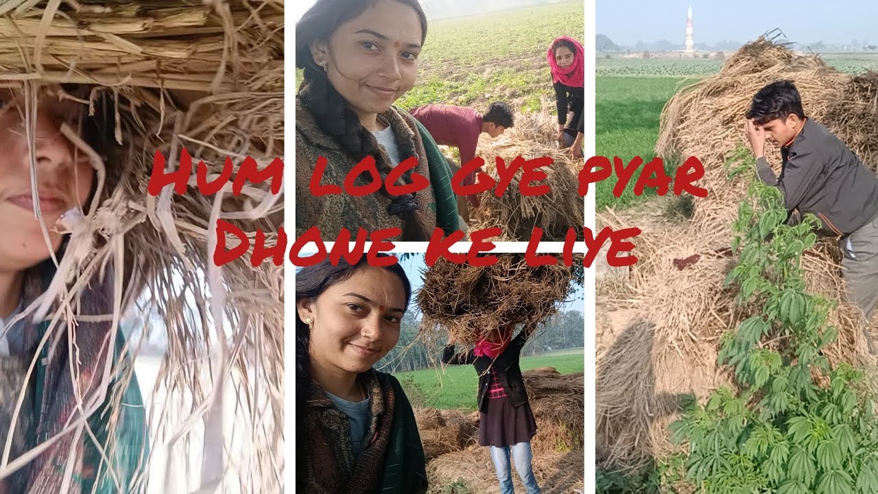 हम लोग प्यार धोने के लिए खेत पर | hum log gye pyar dhone ke liye khet per | bindass Tiwari girl |