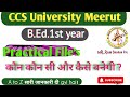 B.Ed. 1St year ki files kaise banaye। B.Ed.1St year me kaoun kaoun si files banti hai ccsu Meerut