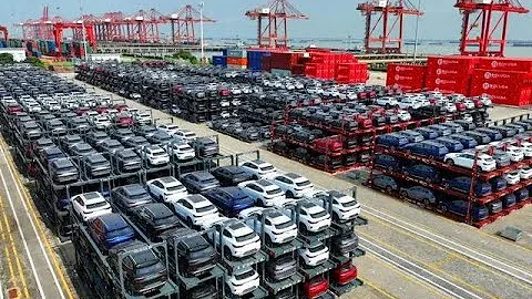 2023属于特斯拉，2024年属于比亚迪？ - 天天要闻