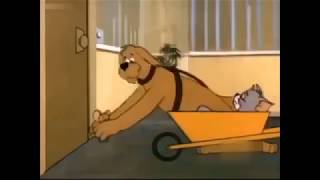 احلى حلقات توم وجيري القط والفار Tom and Jerry