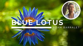 Blue Lotus - The Oil of Ascension