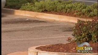 robertsdale shooting