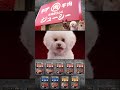 お肉屋さんのジューシー #生食感 #ドギーマン #テレビCM