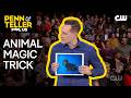 Magician Performs Photo Prediction Magic Trick | Penn & Teller: Fool Us | The CW