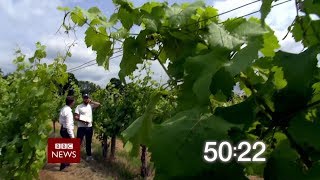 Bbc Beyond 100 Days - Countdown Intro 11.6.2019 7Pm Hd 1080P50