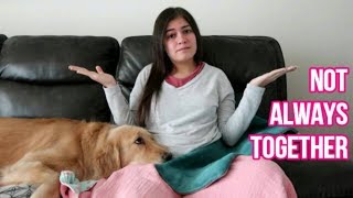 Leaving my Service Dog at Home?!  (9/18/18)