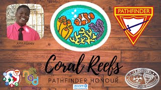 Coral Reefs Pathfinder Honour screenshot 5