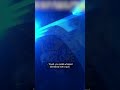 TikTok Star Is Convinced That Laws Don’t Apply To Him