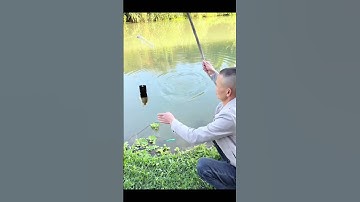 Khi bạn đi câu mà toàn bị móm#fishing #cauca #câucá #dammecauca #moicauca #fishingvideo