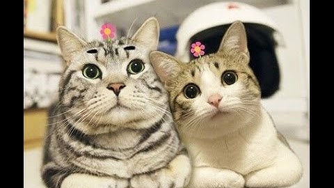 PC 9/21《太吾绘卷》聽說評價還不錯的武俠養成遊戲?