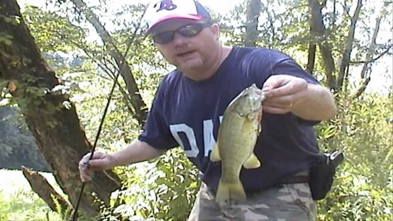 Catching Hellgrammites for bait to catch river smallmouth bass and