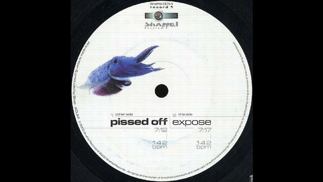 Skazi - Expose (Psy-Trance 2000) - YouTube