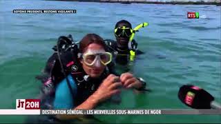 Reportage Rts Plongée Ngor
