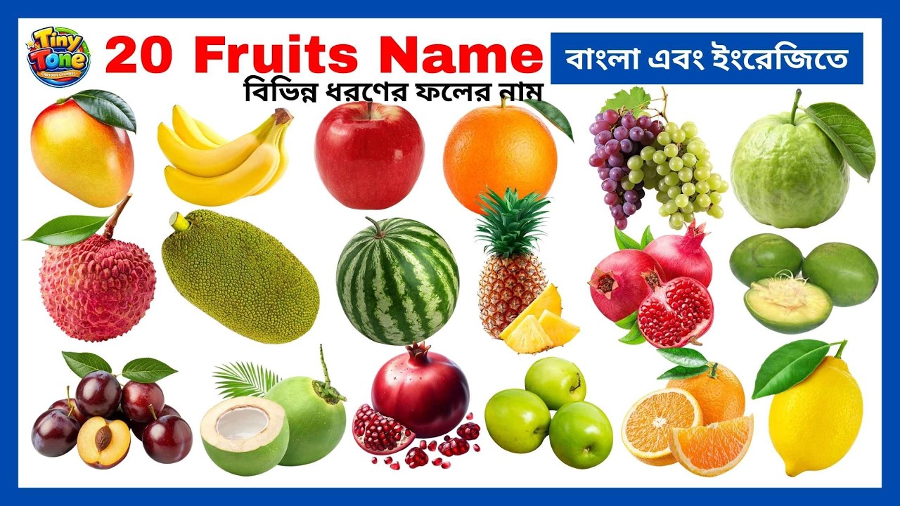 Fruits Name | 20 Popular Fruits Name in English & Bangla with Pictures | Learn Fruits Name for Kids