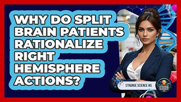 Why Do Split Brain Patients Rationalize Right Hemisphere Actions? - Strange Science HQ