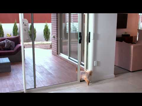 Automatic Dog Door