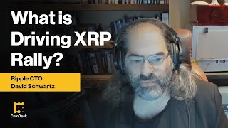 Thumbnail of the video “CoinDesk - XRP Rising! Ripple CTO: The Market Considers XRP to Be Similar to Bitcoin & Ether | CoinDesk TV”