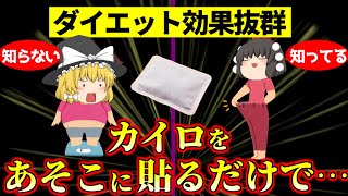 【ダイエット】1枚10円のカイロを○○に貼るだけで基礎代謝１２%も上がり,体脂肪が激減…