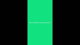 Tom And Toby Cats Fun Moments