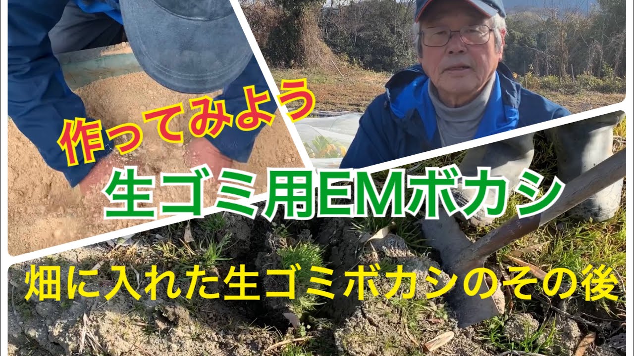 【EM自然農法】作ってみよう！生ゴミ用EMボカシ〜畑に入れた生ゴミボカシのその後〜