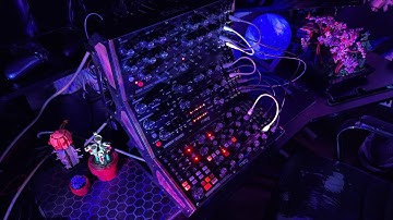 aural maze - moog dfam labyrinth & subharmonicon