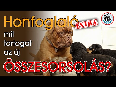 Honfoglaló Extra - Mit tartogat az új összesorsolás?