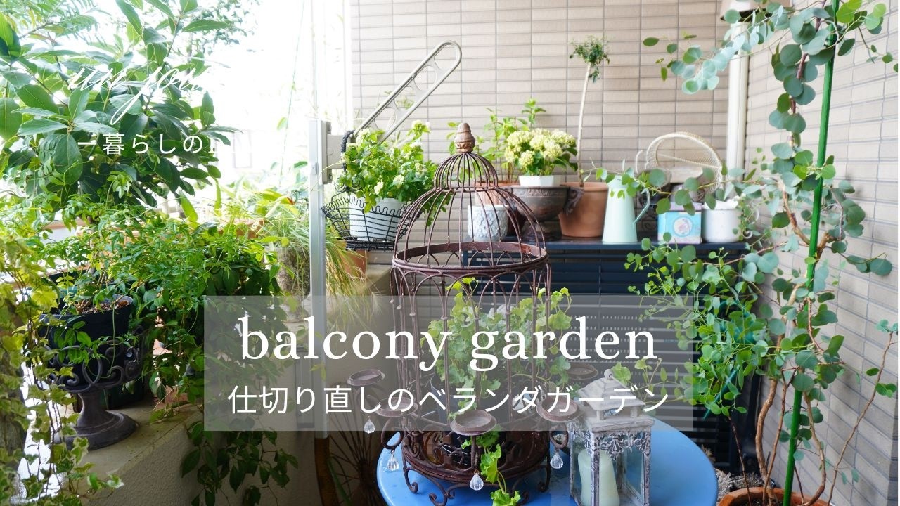 ベランダガーデンのレイアウト替え|枯れてしまったオージープランツ|ミニバラの夏剪定|銀座ウエストの月餅|暮らしのvlog