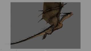 Dragon Run Cycle and Flight Animation