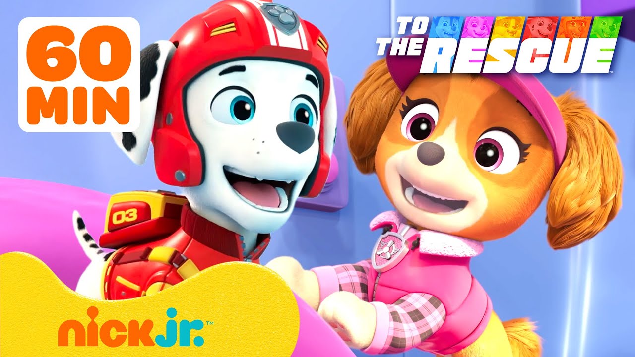 Patrulha Canina | Pais em ação! 💗 60 minutos de amizade | Nick Jr. em Português