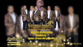 Video-Miniaturansicht von „EL SON DEL PAJARITO GRUPO FANDANGO MUSICAL 2020“