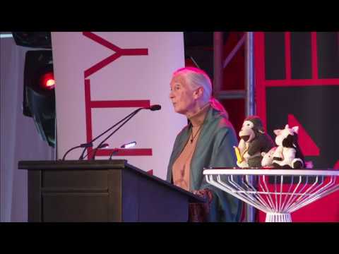 Dr. Jane Goodall