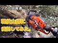 現役山師を雇って田んぼ周りの木を切る。～炭焼き再開に向けて。