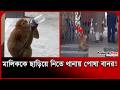 মালিককে ছাড়িয়ে নিতে থানায় পোষা বানর! । Monkey In Police Station । Viral Video । Probash Time
