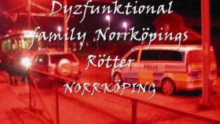 DFF - Norrköpings Rötter screenshot 4